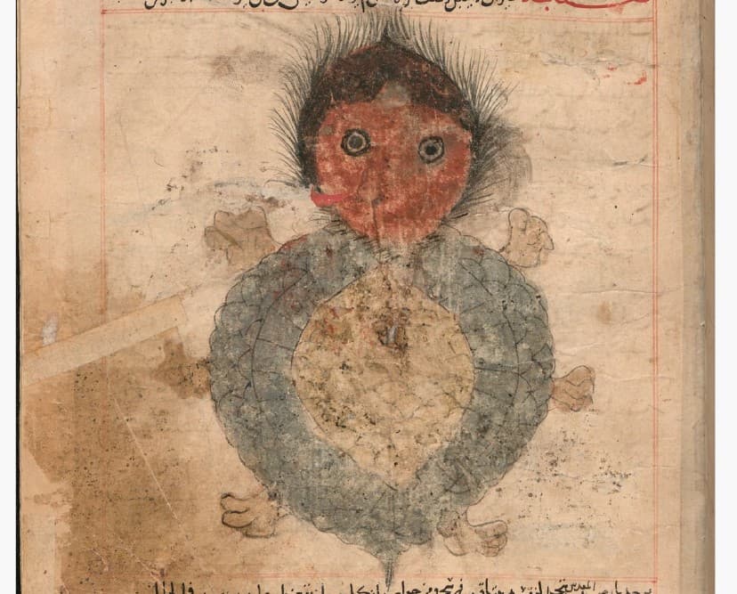 جهی